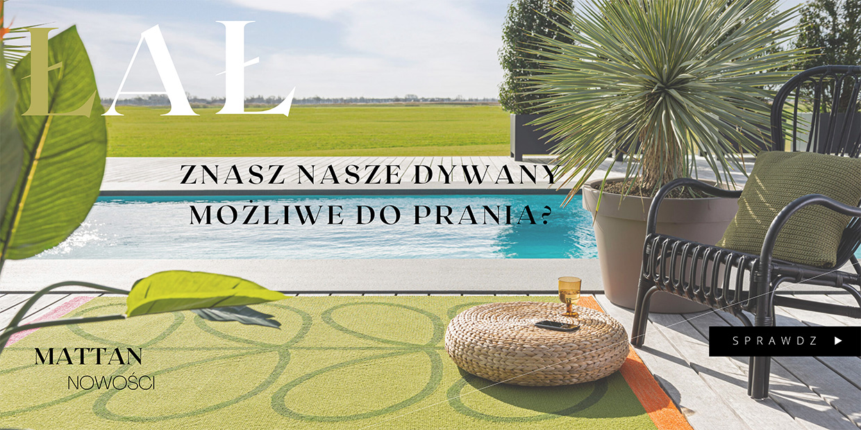 dywany możliwe do prania